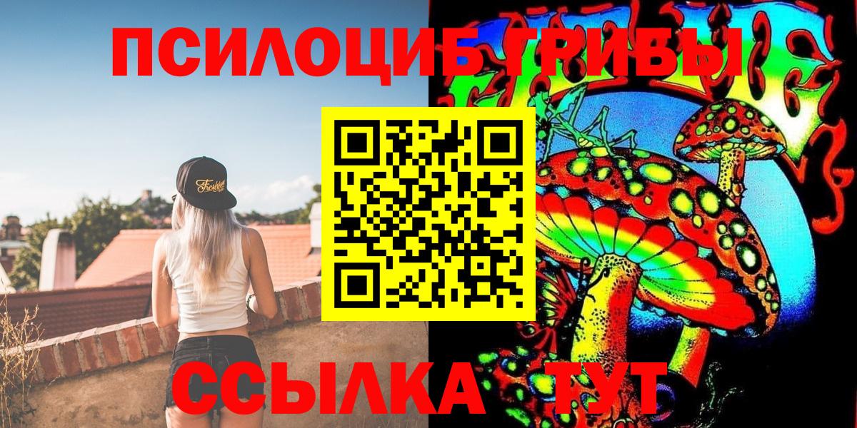 Усть-Джегута  Псилоцибиновые грибы Magic Shrooms  сколько стоит  Вход с VPN 
