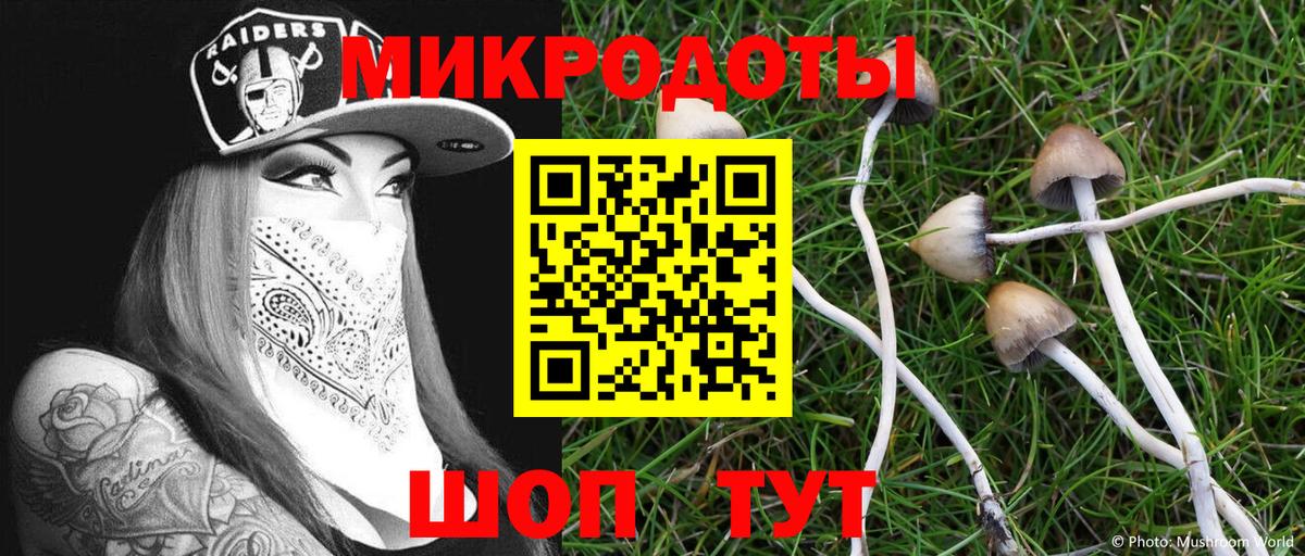 Галлюциногенные грибы MAGIC MUSHROOMS Усть-Джегута
